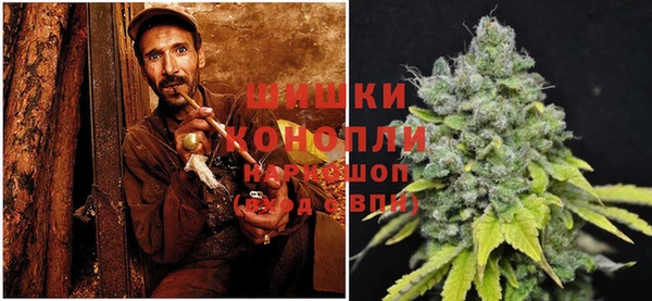 трава Абаза